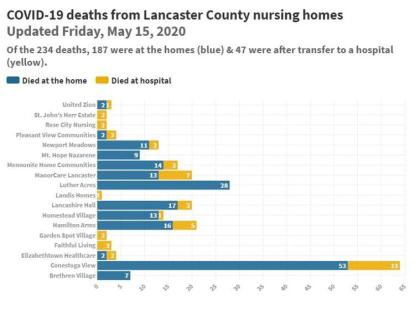 covid deaths in nursing homes